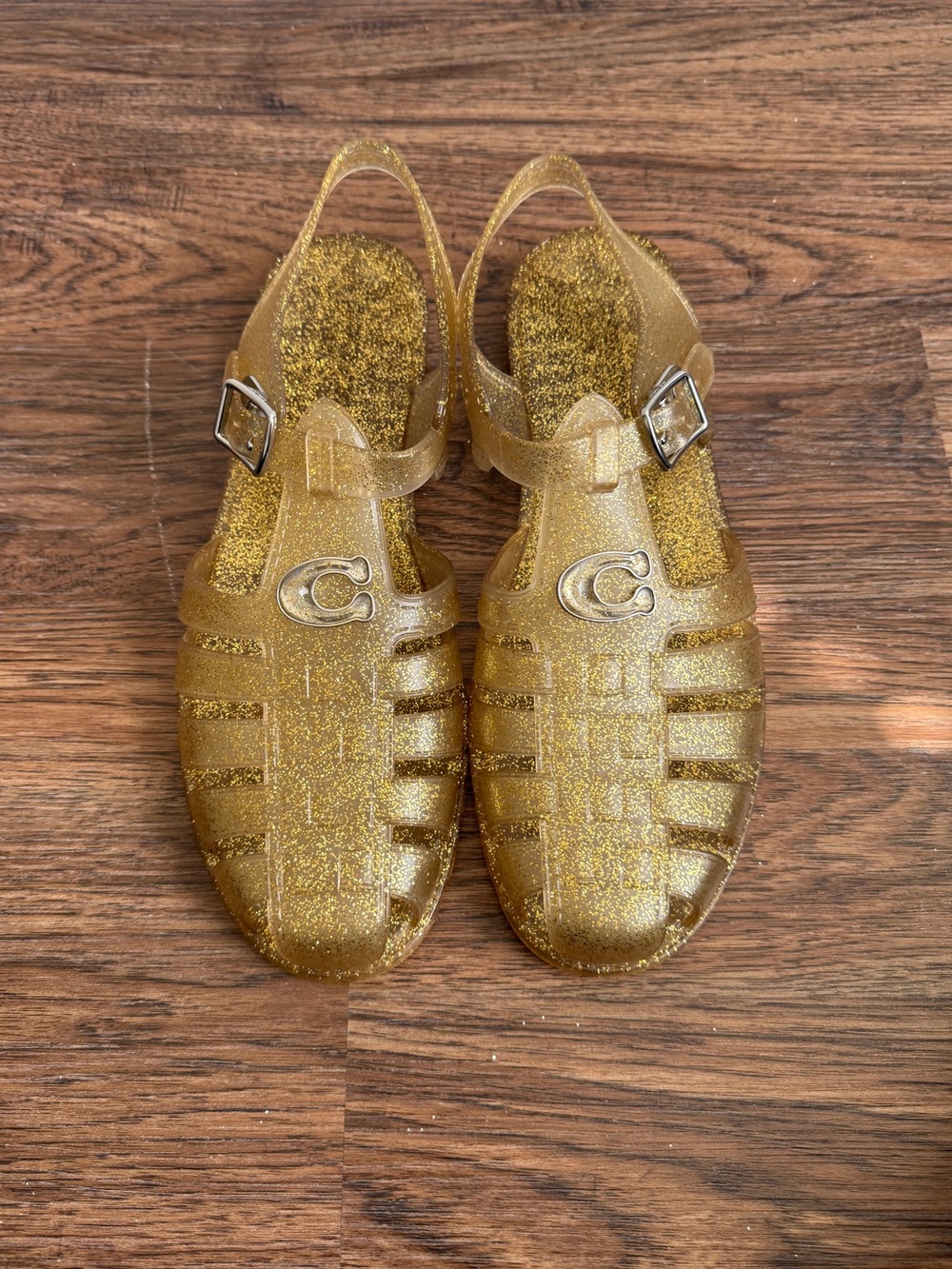 Coach Metallic Gold Sparkle Jelly Fisherman Sandals Size 11 Women’s